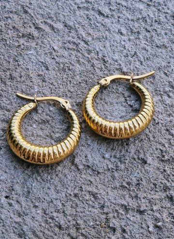 Zephyr gold hoop earrings
