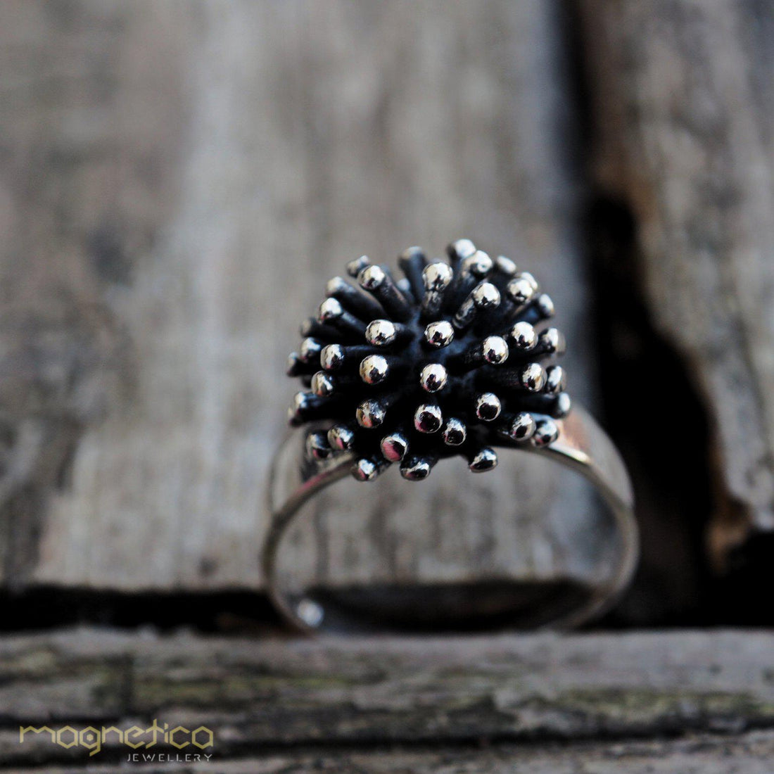 Acorn sterling silver ring-ring-Magnetica