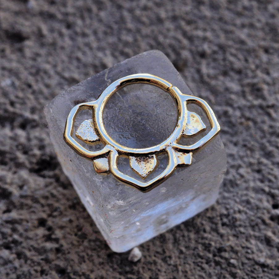 Barberry gold plated piercing ring