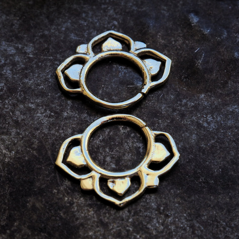 Barberry gold plated piercing ring