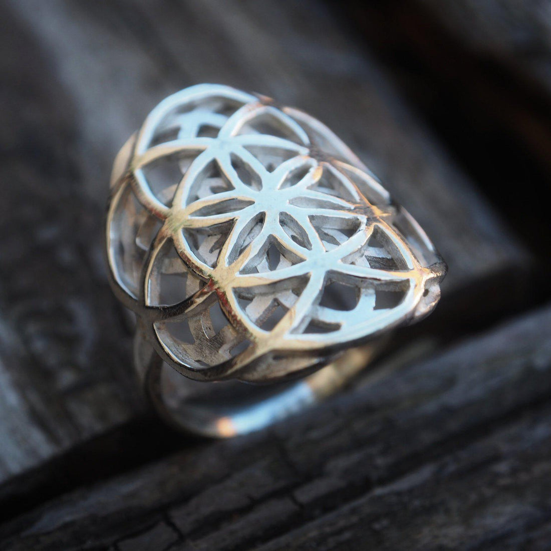 Flower of life double sterling silver ring-ring-Magnetica