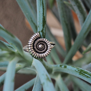 spiral sterling silver ring