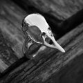 Bird skull sterling silver ring-ring-Magnetica