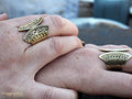 Tribal big gold brass ring-ring-Magnetica